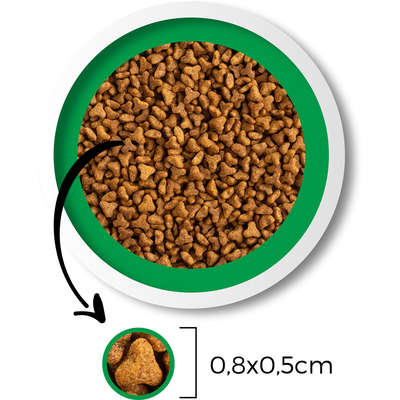 Ração Seca Besser Natural Premium para Gatos Adultos