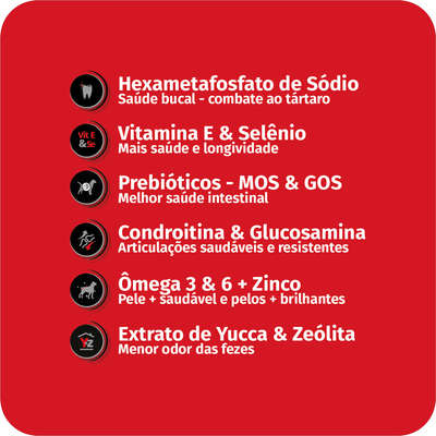 Ração Seca Finotrato Prime Especial para Cães Adultos Raças Grandes