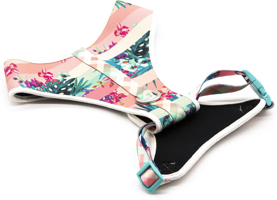 Conjunto Peitoral Toh Neoprene e Guia Laguna - Tam. G