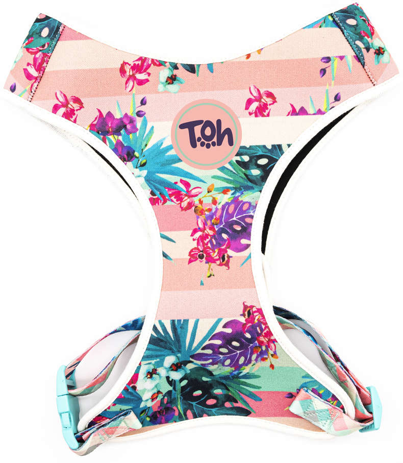 Conjunto Peitoral Toh Neoprene e Guia Laguna - Tam. G