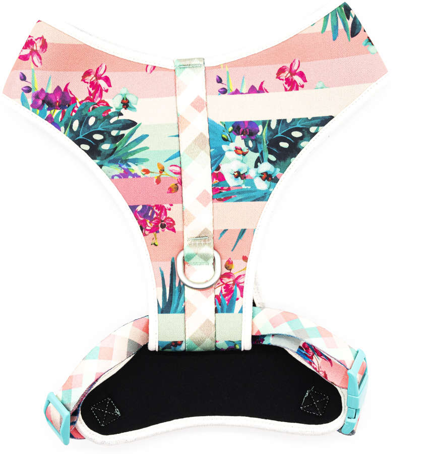 Conjunto Peitoral Toh Neoprene e Guia Laguna - Tam. G