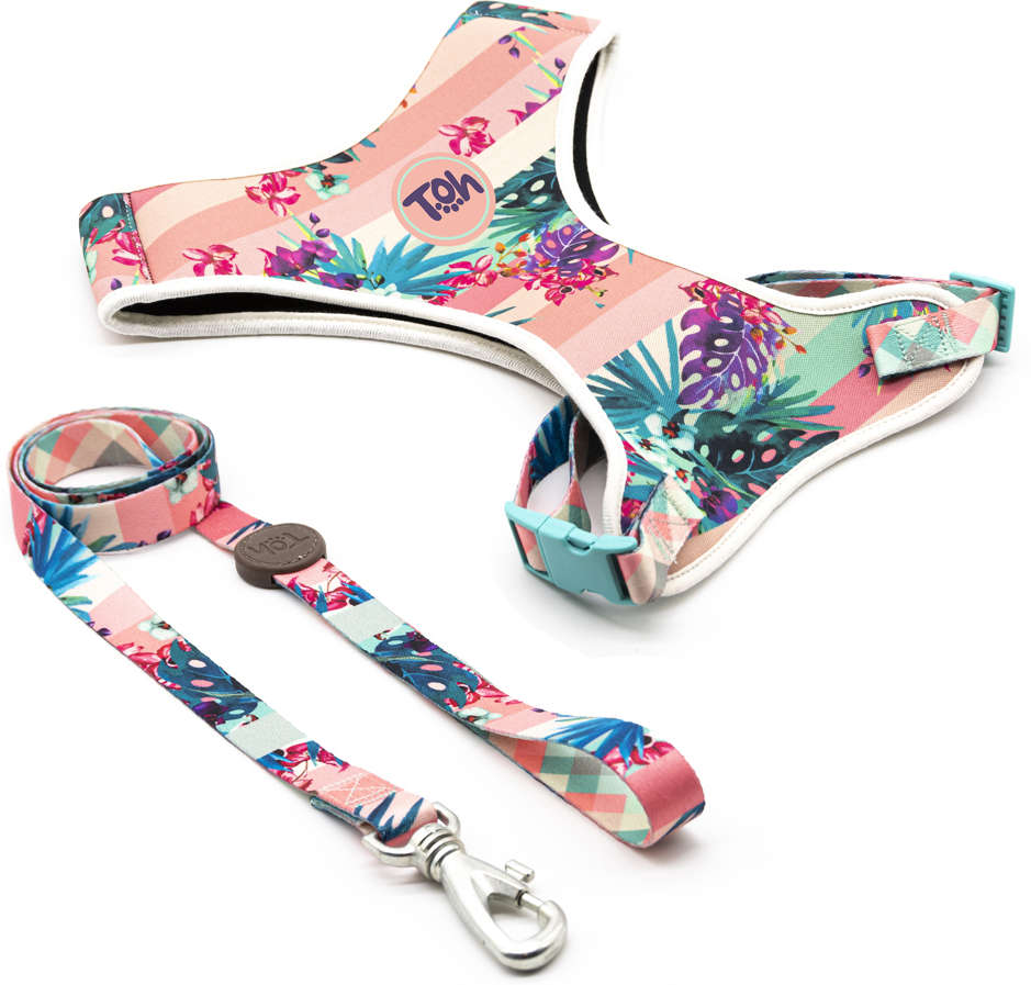 Conjunto Peitoral Toh Neoprene e Guia Laguna - Tam. G