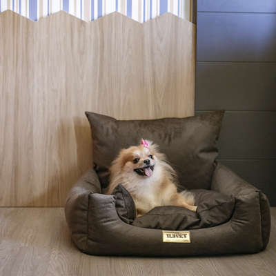 Sofá Luppet Cama Marrom para Cães e Gatos