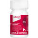 Anti-Inflamatório Elanco Galliprant para Cães 60 mg_30 Compridos