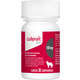 Anti-Inflamatório Elanco Galliprant para Cães 100 mg_30 Comprimidos
