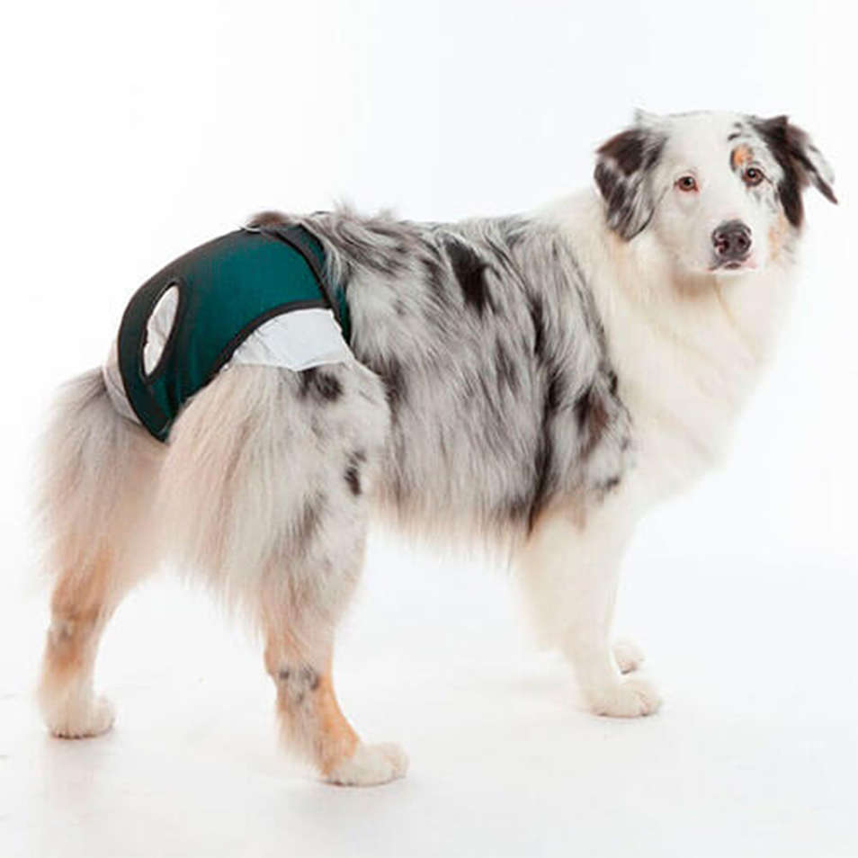 Protetor Higiênico Pet Med para Fraldas & Cio Verde para Cães - Tam. 00