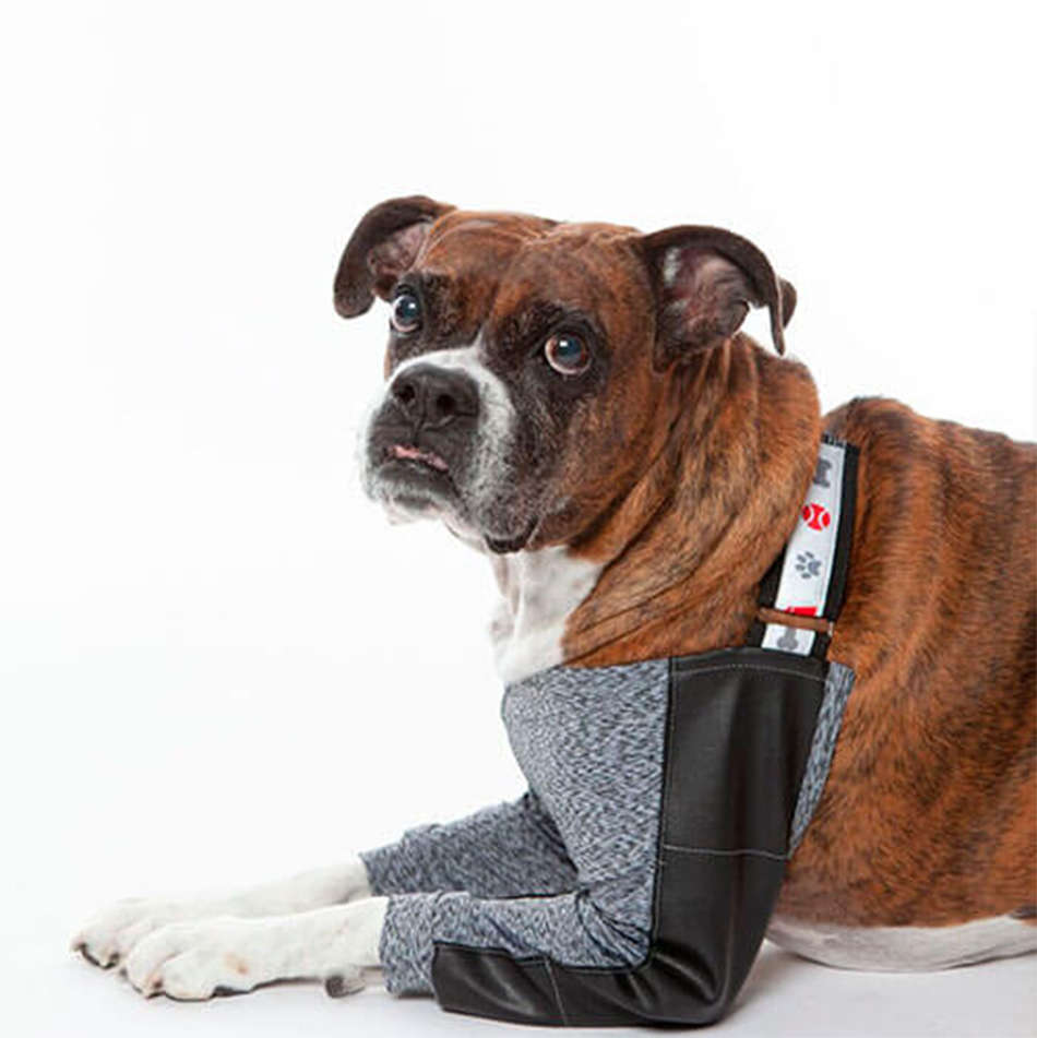 Protetor de Higroma Duo Dry Pet Med Color para Cães - Tam. 09
