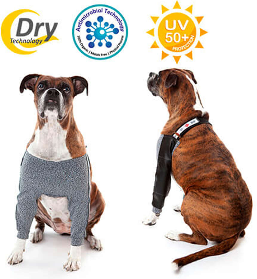 Protetor de Higroma Duo Dry Pet Med Color para Cães - Tam. 09