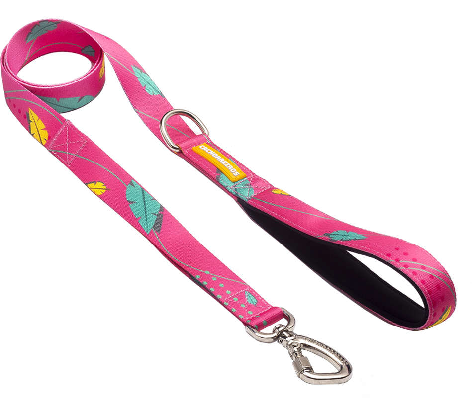 Super Guia Olivia para Cães - Tam. Único