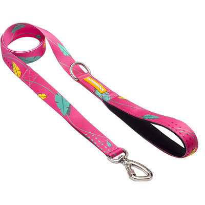 Super Guia Olivia para Cães