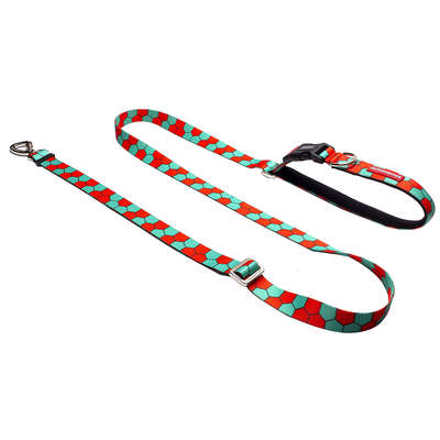 Guia Running Honey para Cães