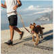 Guia Running Honey para Cães
