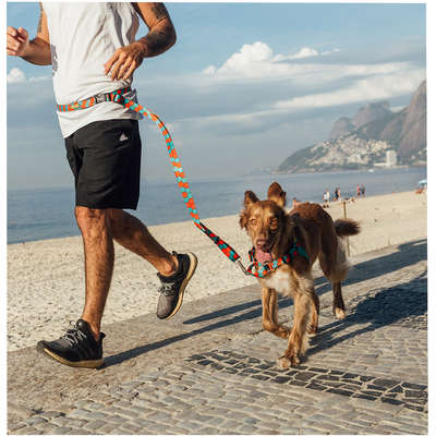 Guia Running Honey para Cães