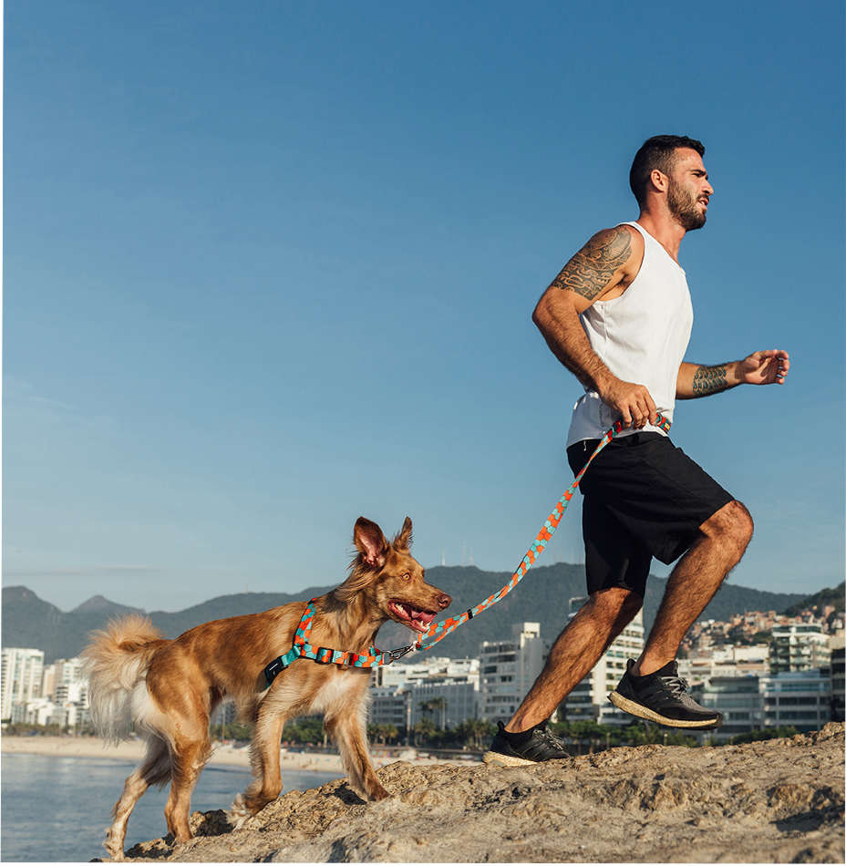 Guia Running Honey para Cães - Tam. Único