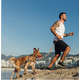 Guia Running Honey para Cães