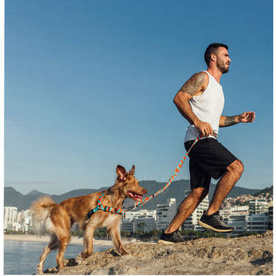 Guia Running Honey para Cães