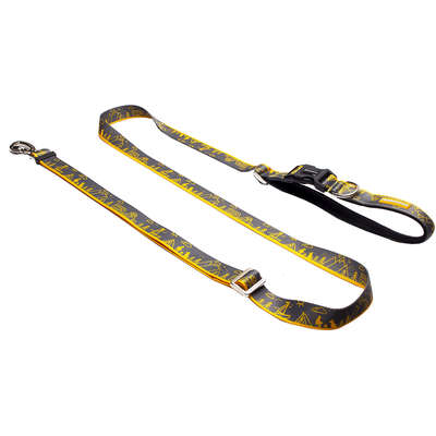 Guia Running Outdoor para Cães