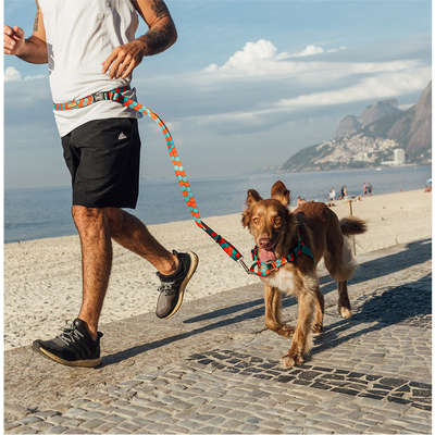 Peitoral Antipuxão Honey para Cães