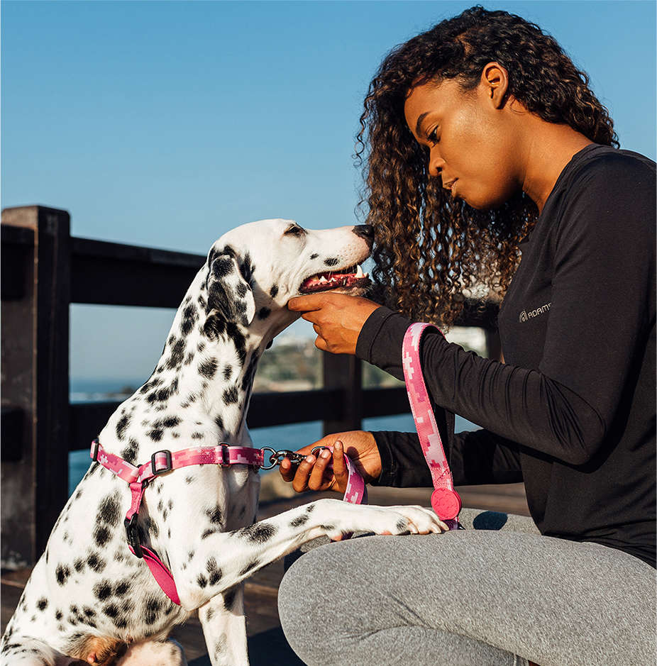 Peitoral Antipuxão Camuflado Rosa para Cães - Tam. G