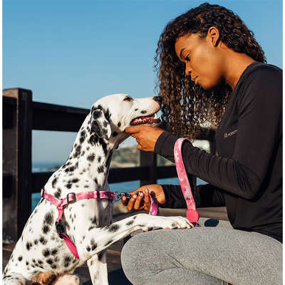Peitoral Antipuxão Camuflado Rosa para Cães