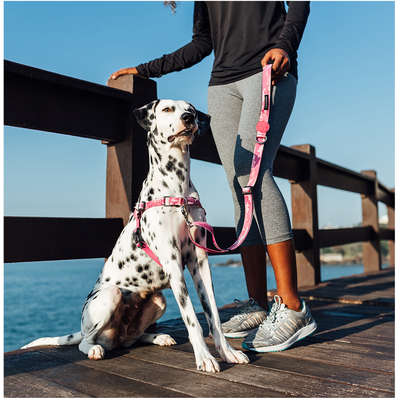 Peitoral Antipuxão Camuflado Rosa para Cães