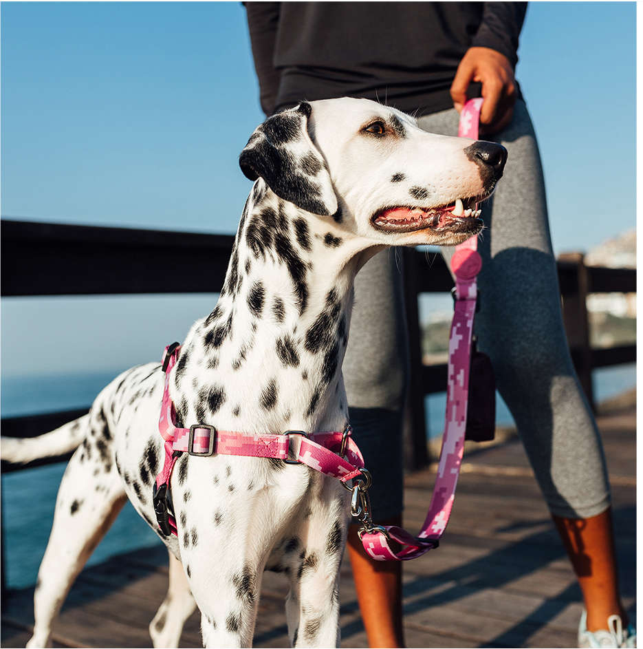 Peitoral Antipuxão Camuflado Rosa para Cães - Tam. G