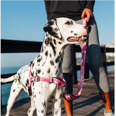 Peitoral Antipuxão Camuflado Rosa para Cães