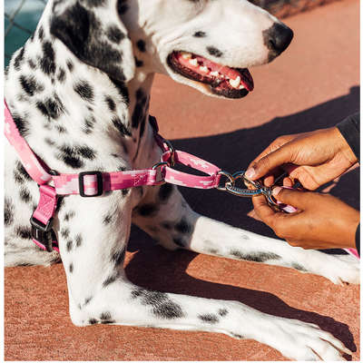 Peitoral Antipuxão Camuflado Rosa para Cães