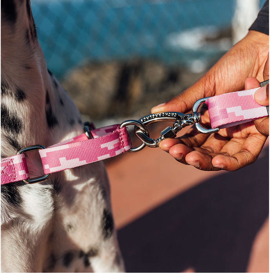 Peitoral Antipuxão Camuflado Rosa para Cães - Tam. G