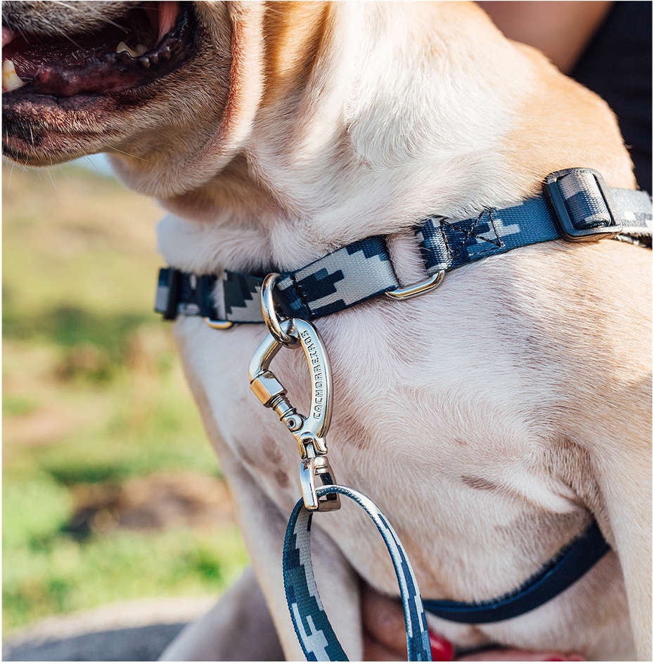 Peitoral Antipuxão Camuflado Cinza para Cães - Tam. M