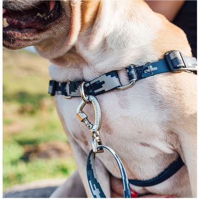 Peitoral Antipuxão Camuflado Cinza para Cães