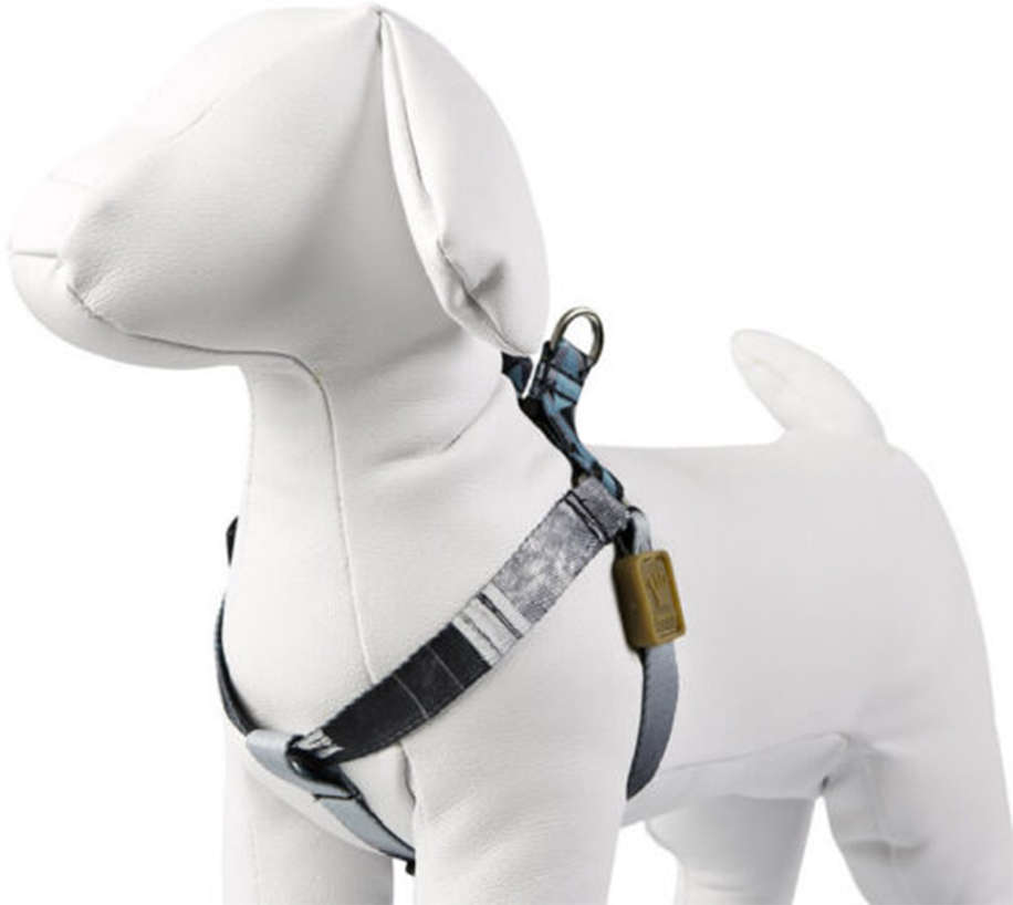 Peitoral William Piuí Turquesa para Cães - Tam. G