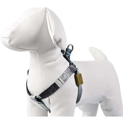 Peitoral William Piuí Turquesa para Cães