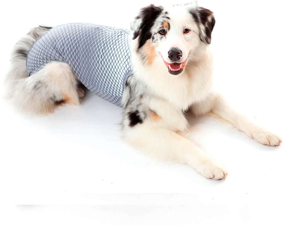 Roupa Pós Castração Pet Med Ultralight Color Cinza Geo para Cães - Tam. 14