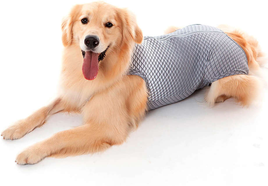 Roupa Pós Castração Pet Med Ultralight Color Cinza Geo para Cães - Tam. 14