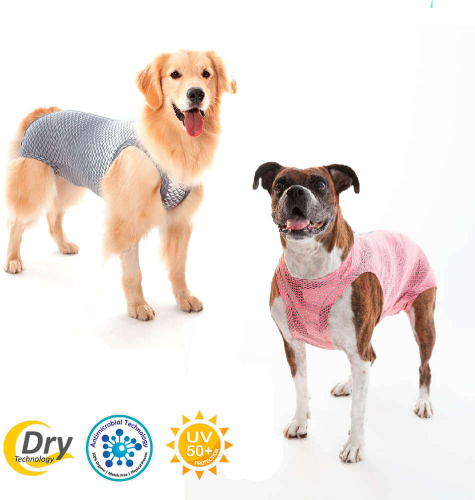 Roupa Pós Castração Pet Med Ultralight Color Cinza Geo para Cães - Tam. 14