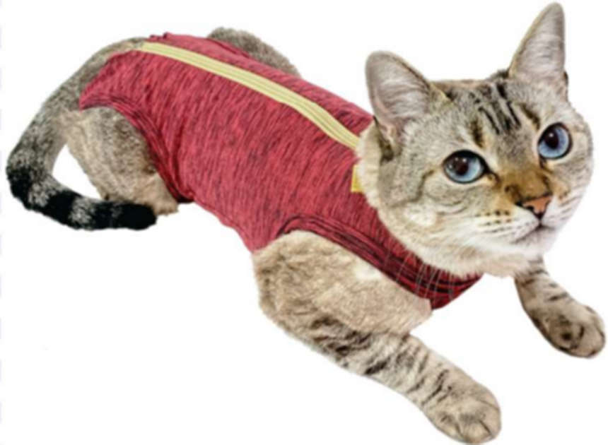 Roupa Pós Castração Pet Med Duo Dry Rosa para Gatos - Tam. Mini