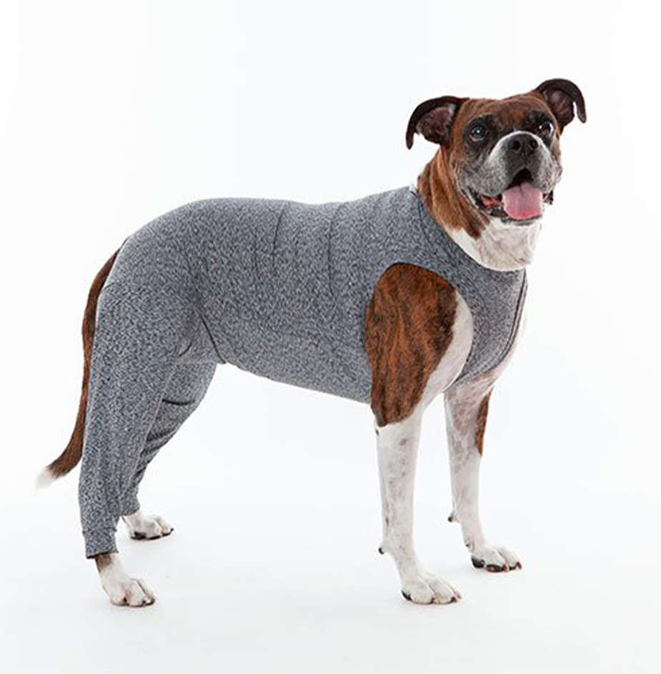 Protetor de Membros Posteriores Pet Med Duo Dry Color para Cães - Tam. 15