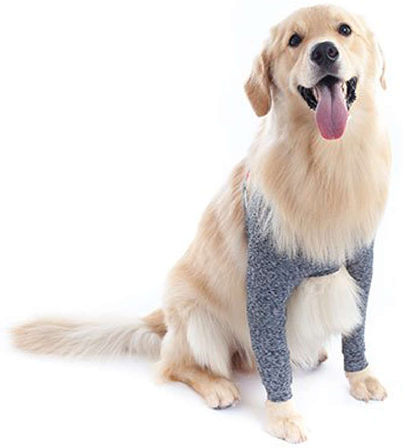 Protetor de Membros Anteriores Pet Med Duo Dry Color para Cães - Tam. 00