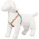 Peitoral Free para Cães