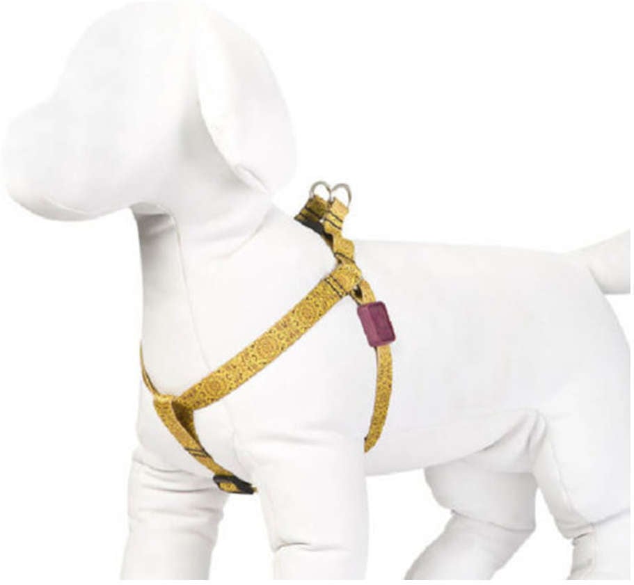 Peitoral Mystic para Cães - Tam. G