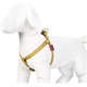 Peitoral Mystic para Cães