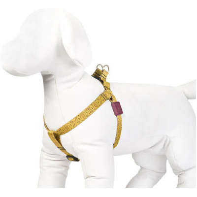 Peitoral Mystic para Cães