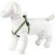Peitoral Mystic Jungle para Cães
