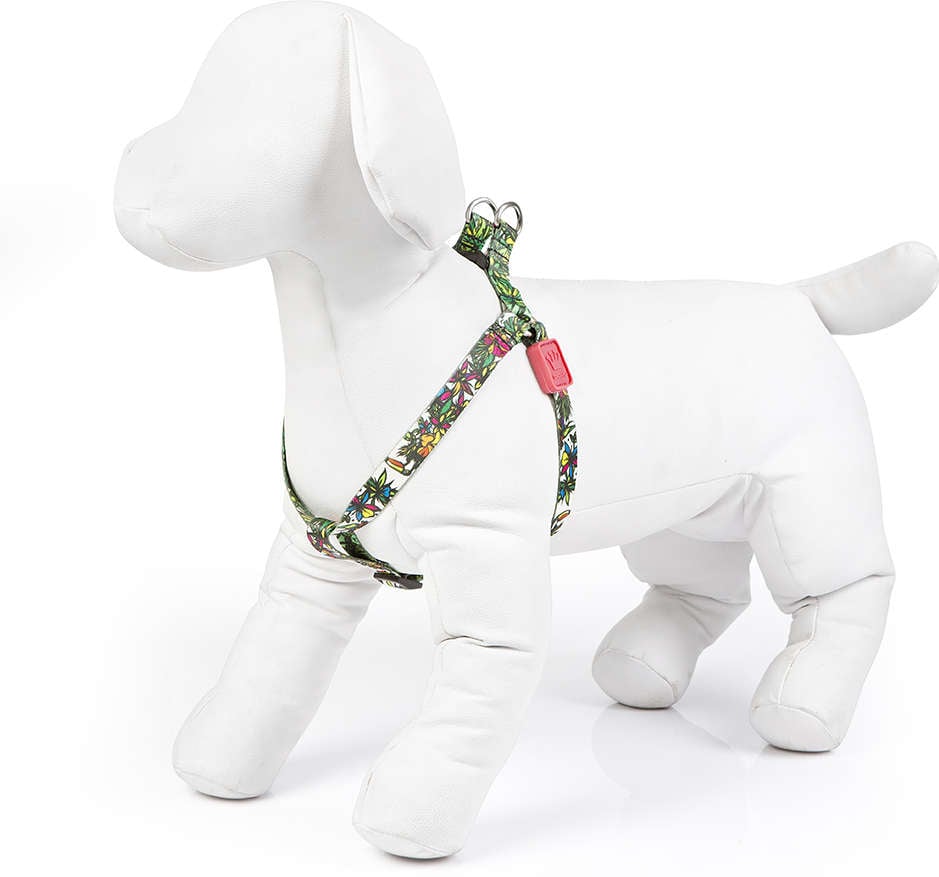 Peitoral Flowers Paradise para Cães - Tam. P