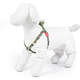Peitoral Flowers Paradise para Cães