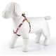 Peitoral Jack B. para Cães