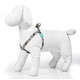 Peitoral Etnias para Cães