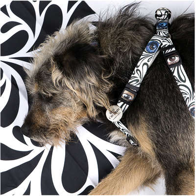 Peitoral Etnias para Cães