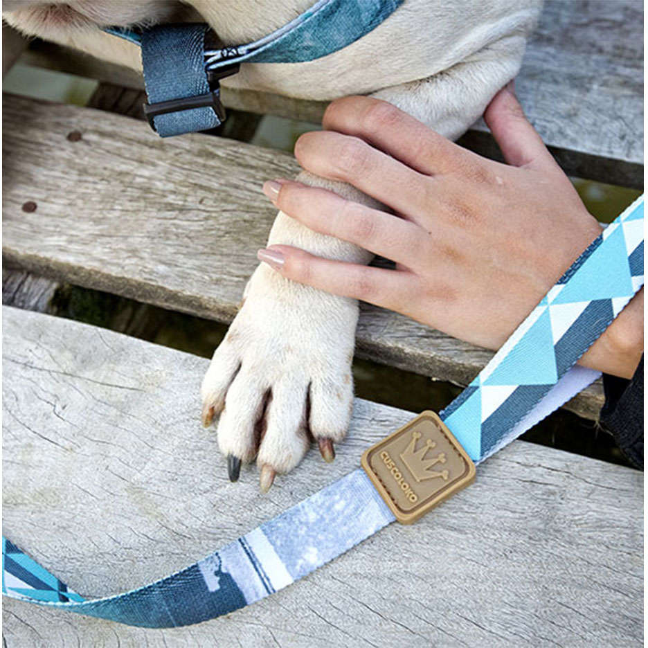Guia William Piuí Turquesa para Cães - Tam. G